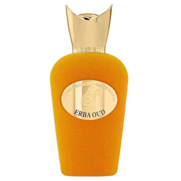 Erba Oud eau de parfum spray 100 ml