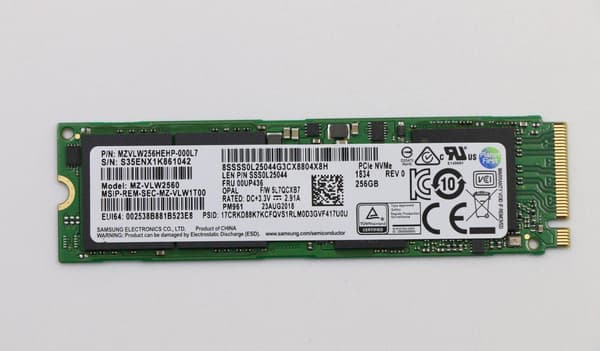 Lenovo 256GB M.2 PCIe Solid State Drive gris