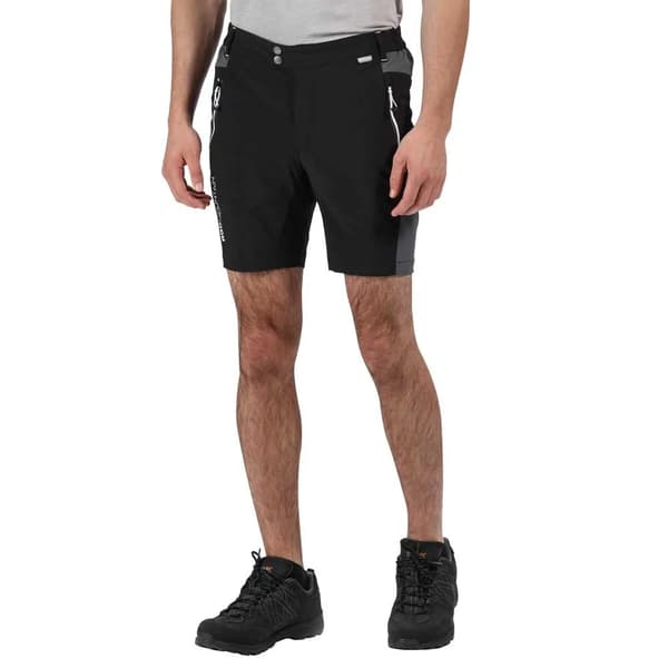 Regatta mountain shorts mustat