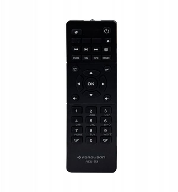 Ferguson Regent i101 Internet Radio Bluetooth 5.3 i Lys Træ