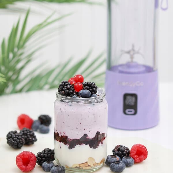 blendygo go 3 bærbar mixer 550ml sort