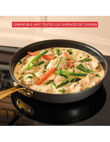 Tefal bocuse edition stegepande 30 cm sort