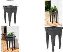 EDA veg&table läpinäkyvä
