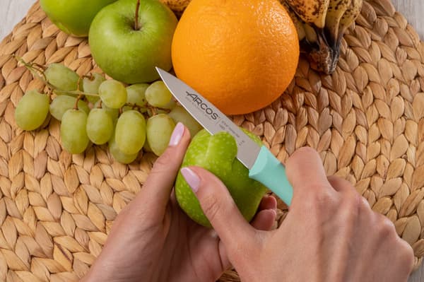 Arcos Nova Paring Knife Mint 85mm