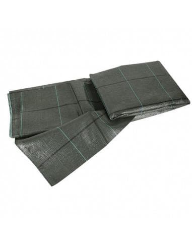 Fungo Tapis de Camping Vert 3 x 5 mètres