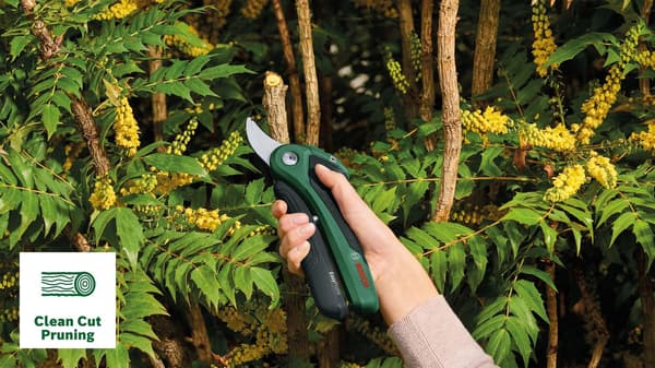 Bosch EasyPrune grøn/sort
