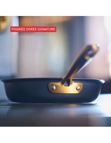 Tefal bocuse edition stegepande 30 cm sort