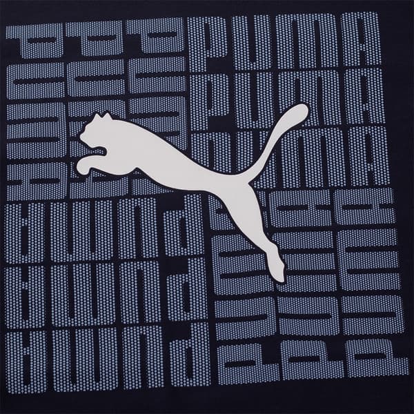 PUMA graphic box t-shirt blå