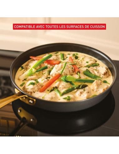 Tefal Bocuse Edition Stegepande 24 cm Aluminium Sort