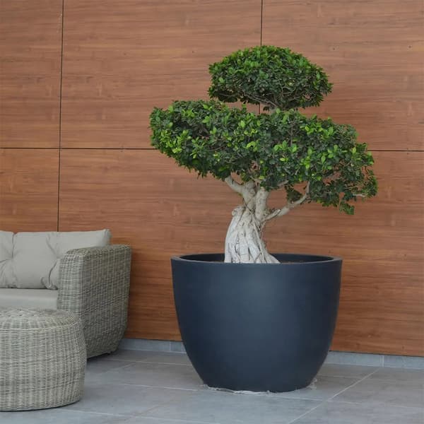 Wellhome Ordesa blomkruka 50cm grå 40L