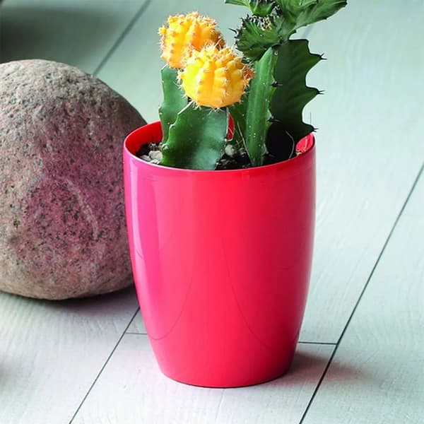 Prosperplast coubi orchid blomkruka 2.4l vit