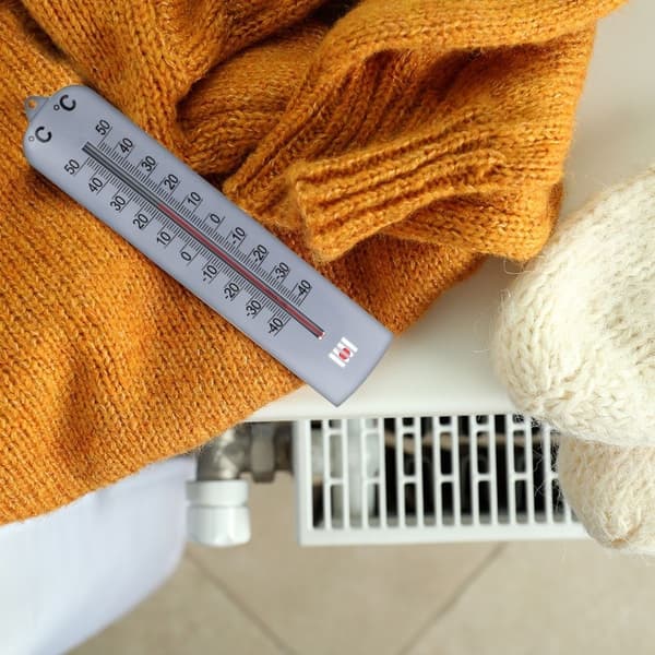 Progarden 27.5 cm termometer metallic silver