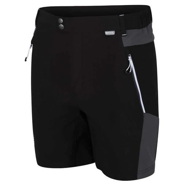 Regatta mountain shorts mustat