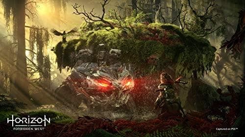 Sony Horizon Forbidden West action RPG