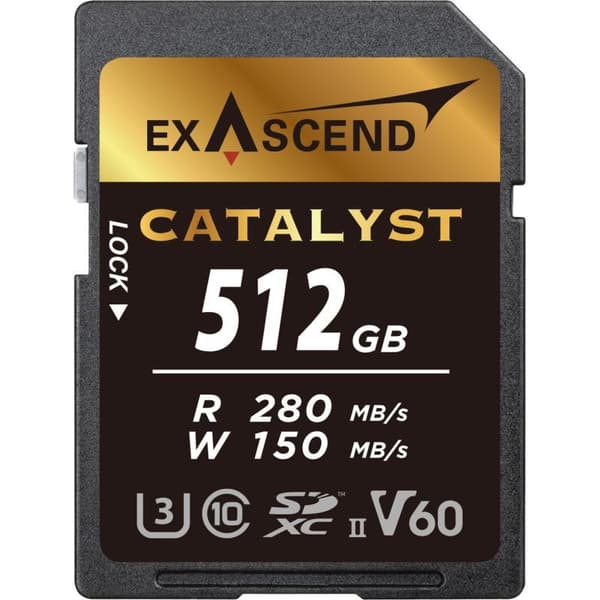 Exascend Catalyst SDXC 512 GB V60