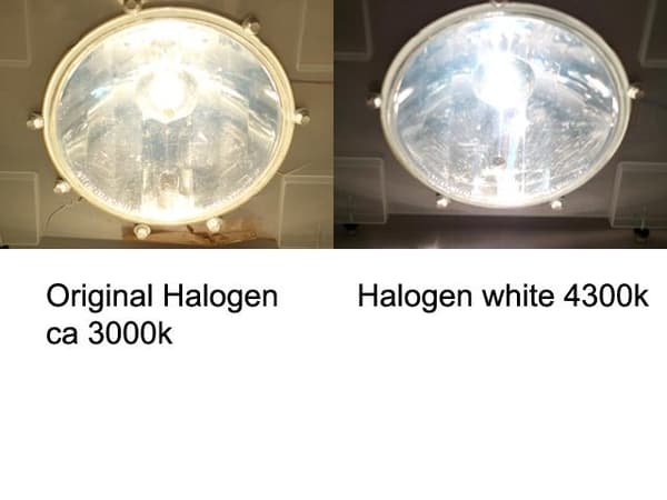 H1 4300k white halogen 55w lampor P14.5s