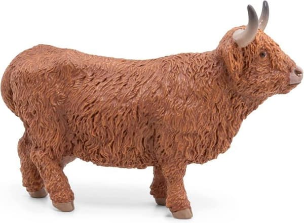 Highland Cow