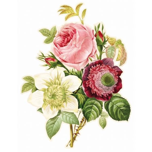 ROSENANEMONE OCH KLEMATIS