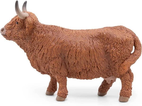Highland Cow