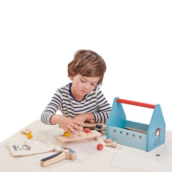 Tender Leaf Toys - Tap Tap Toolbox - DAM