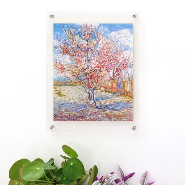 SOUVENIR DE MAUVE
