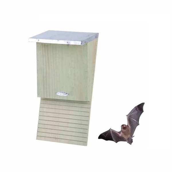 Fladdermus häckningslåda
