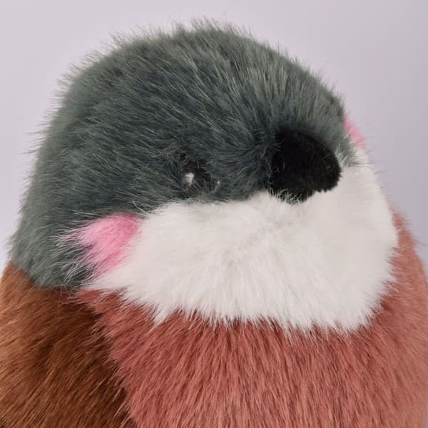Les Cui-Cui Paradis - Spurv - DOUDOU ET COMPAGNIE - PELUSHER/Doudous - Beige - Polyester