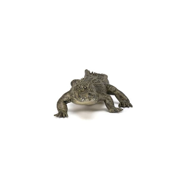 Figur i form av alligator