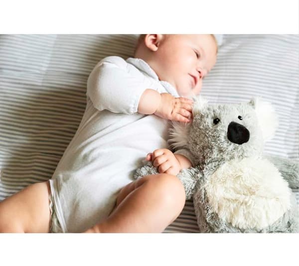Soframar Bouillotte Cozy Plüsch Koala