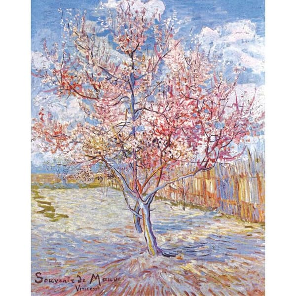SOUVENIR DE MAUVE