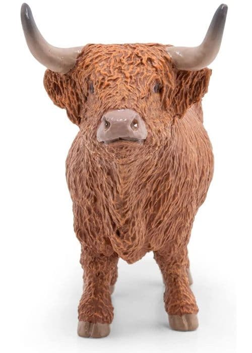 Highland Cow
