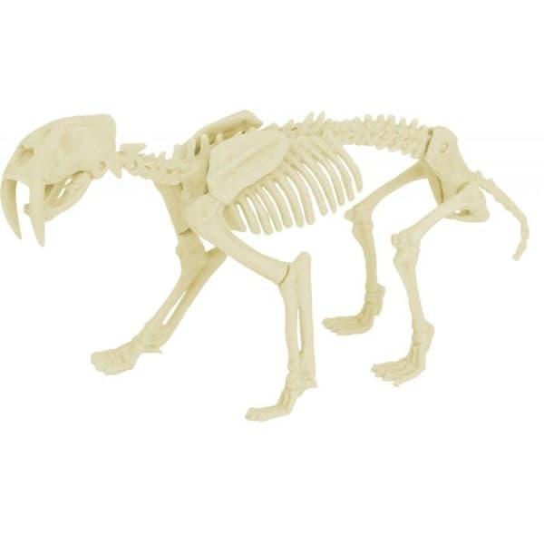 Ulysses - Paleo Kit - Smilodon