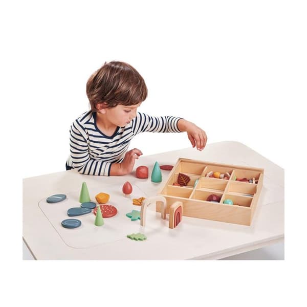 Tender Leaf Toys - My Forest Floor - DAM