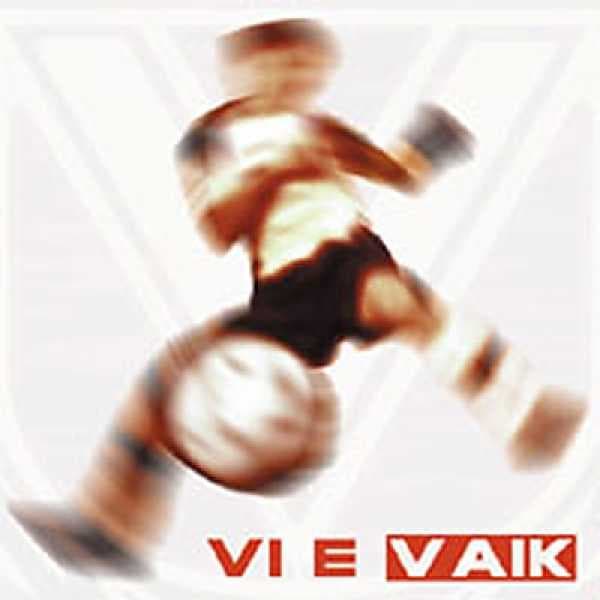 Vi e VAIK