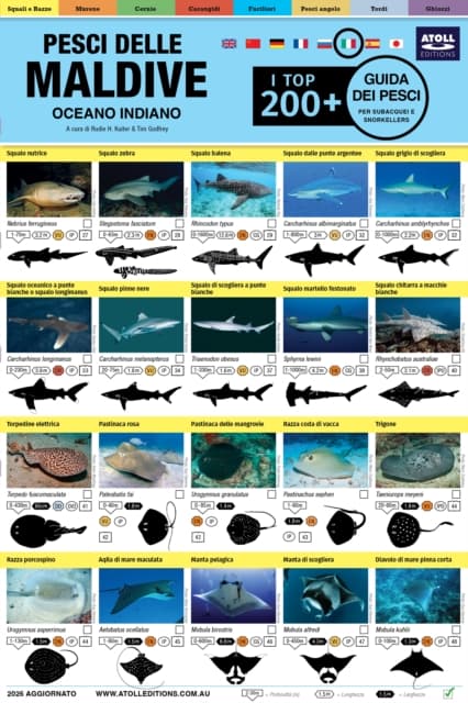 Maldive Guida Dei Pesci