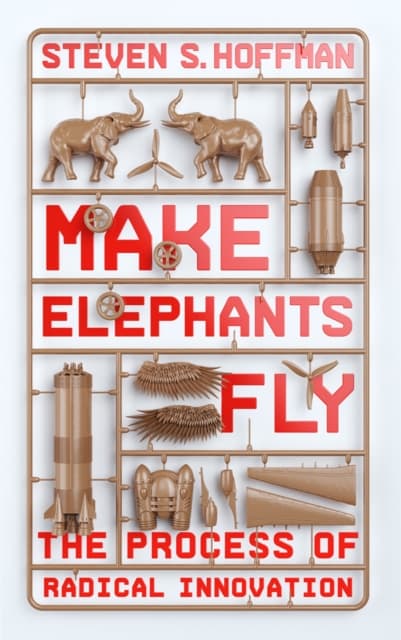 Make elephants fly - the process of radical innovation