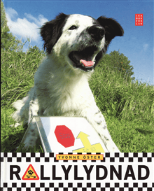 Rallylydnad