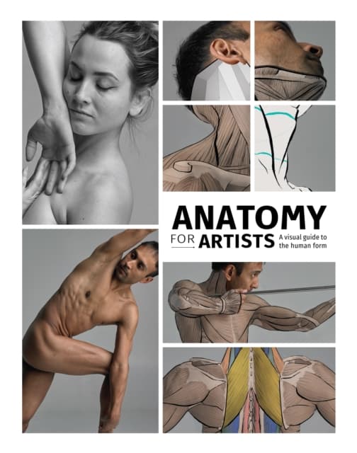 Anatomy for Artists
