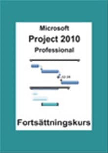 Microsoft Project 2010 Professional – Licenza Per 2 PC, Inglese, DVD, Sigillato