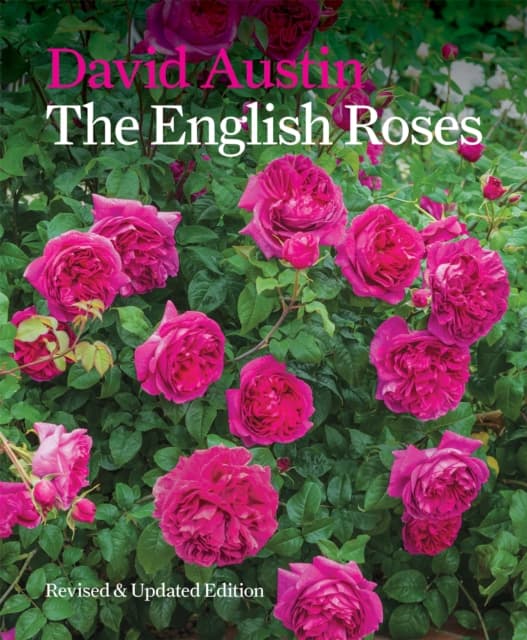 English roses