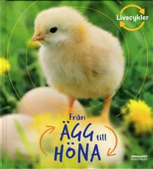 Från ägg till höna