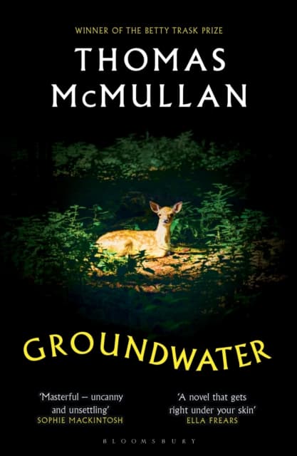 Groundwater