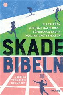 Skadebibeln