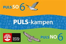 PULS-kampen NO och SO åk 6