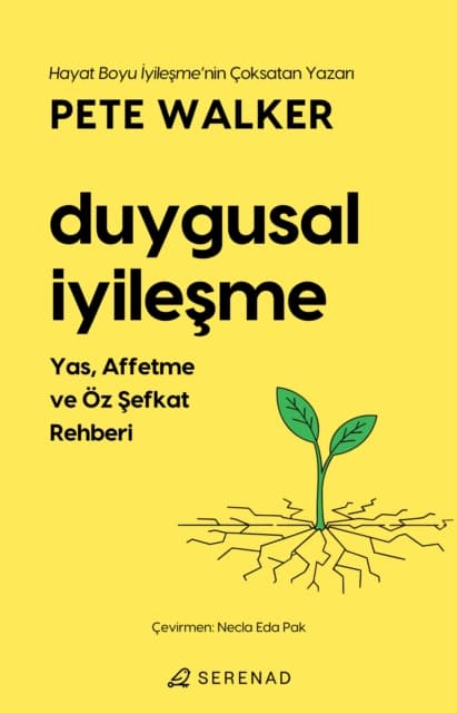 Duygusal Iyilesme