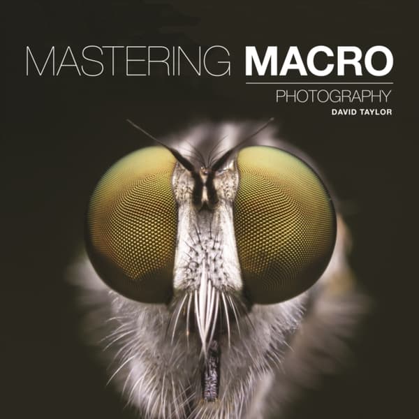 Mastering macro photography