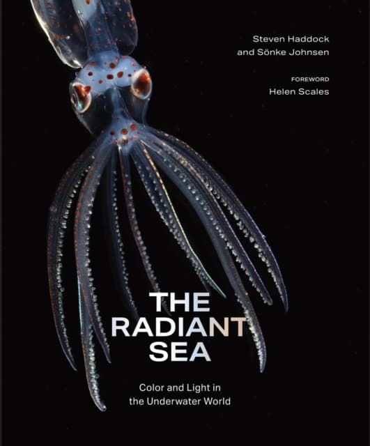 The Radiant Sea