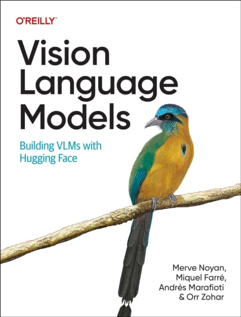 Vision Language Models