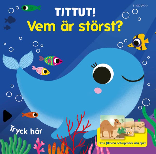 Tittut! Vem är störst?