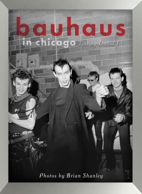 Bauhaus In Chicago